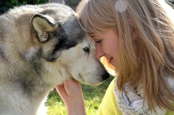 Anna Łatkowska – groomer i właścicielka salonu Elegancki Pies